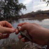 pescando-en-el-arroyo-urquiza-y-cocinando-sopa-de-pescado-10a408cce586aedfe6