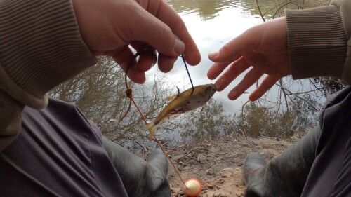 pescando-en-el-arroyo-urquiza-y-cocinando-sopa-de-pescado-12.jpg