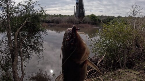 pescando-en-el-arroyo-urquiza-y-cocinando-sopa-de-pescado-14.jpg