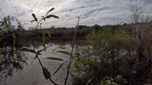 pescando-en-el-arroyo-urquiza-y-cocinando-sopa-de-pescado-15.jpg