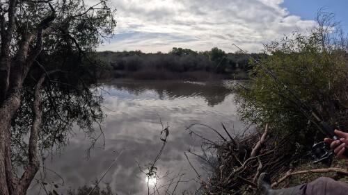 pescando-en-el-arroyo-urquiza-y-cocinando-sopa-de-pescado-6.jpg