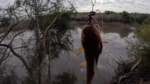 pescando-en-el-arroyo-urquiza-y-cocinando-sopa-de-pescado-8.jpg