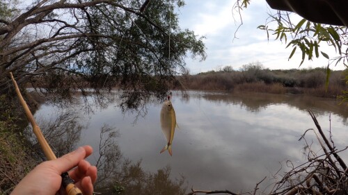 pescando en el arroyo urquiza y cocinando sopa de pescado 9