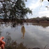 pescando-en-el-arroyo-urquiza-y-cocinando-sopa-de-pescado-95ab33b8882cf888e