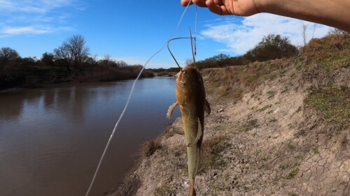 Pescando-bagres-y-cocinando-en-el-Arroyo-Santa-Rosa-Entre-Rios-18.jpg