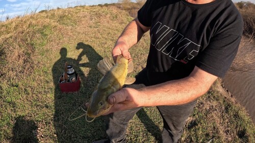 Pescando-bagres-y-cocinando-en-el-Arroyo-Santa-Rosa-Entre-Rios-34.jpg