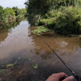 Pesca-de-tarariras-en-arroyo-pasito-de-las-piedras-1