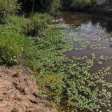 Pesca-de-tarariras-en-arroyo-pasito-de-las-piedras-3