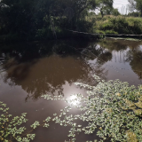 Pesca-de-tarariras-en-arroyo-pasito-de-las-piedras-4
