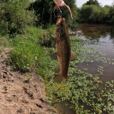 Pesca-de-tarariras-en-arroyo-pasito-de-las-piedras-5