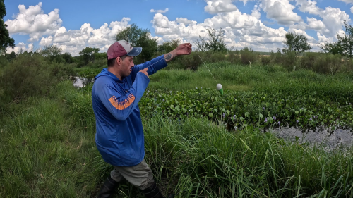 pesca-de-tarariras-en-arroyo-lleno-de-camalotes-15.png