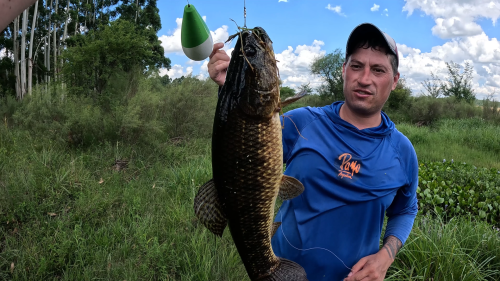 pesca-de-tarariras-en-arroyo-lleno-de-camalotes-16.png