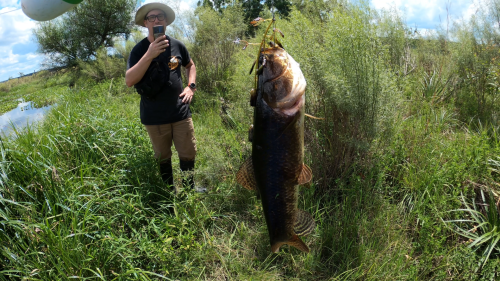 pesca-de-tarariras-en-arroyo-lleno-de-camalotes-21.png