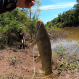 Pesca-y-cocina-en-laguna-explotada-de-tarariras-en-Colon-12