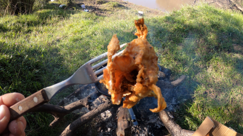 Pescando y cocinando en el Rio Gualeguaychu (Ruta 39) 🔥 16