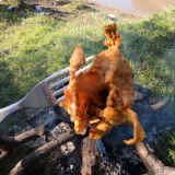 Pescando-y-cocinando-en-el-Rio-Gualeguaychu-Ruta-39--16