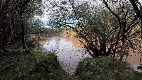 Pescando-y-cocinando-en-el-Rio-Gualeguaychu-Ruta-39--19.png