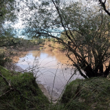Pescando-y-cocinando-en-el-Rio-Gualeguaychu-Ruta-39--19