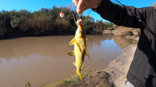 Pescando-y-cocinando-en-el-Rio-Gualeguaychu-Ruta-39--3.png
