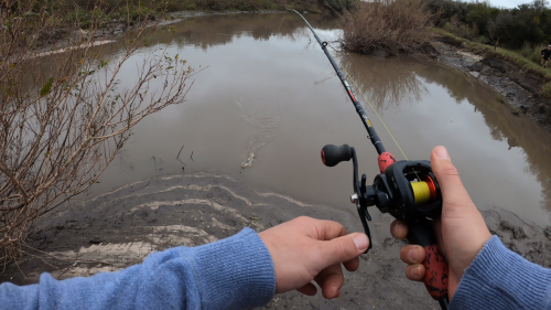 Pescando-y-cocinando-en-el-Rio-Gualeguaychu-Ruta-39--30.png