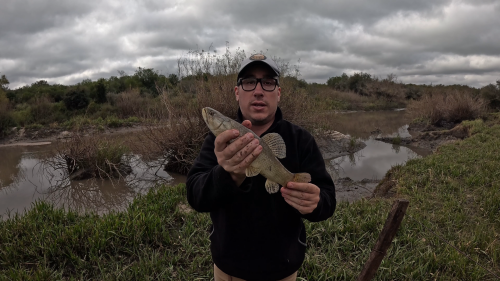 Pescando y cocinando en el Rio Gualeguaychu (Ruta 39) 🔥 36
