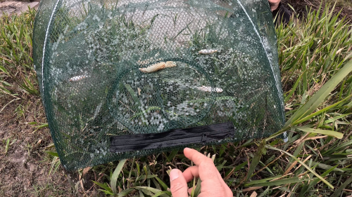 Pescando y cocinando en el Rio Gualeguaychu (Ruta 39) 🔥 37