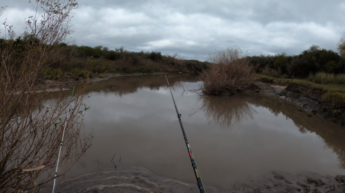 Pescando-y-cocinando-en-el-Rio-Gualeguaychu-Ruta-39--46.png