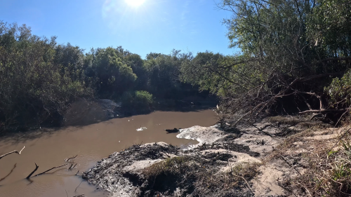 Pescando-y-cocinando-en-el-Rio-Gualeguaychu-Ruta-39--5.png