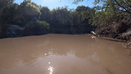 Pescando-y-cocinando-en-el-Rio-Gualeguaychu-Ruta-39--6.png