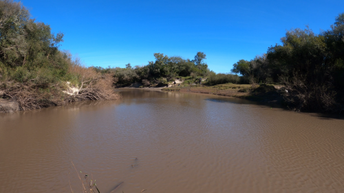 Pescando-y-cocinando-en-el-Rio-Gualeguaychu-Ruta-39--7.png