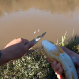 Pescando-y-cocinando-en-el-Rio-Gualeguaychu-Ruta-39--8