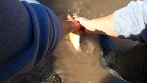 Pescando-y-cocinando-en-el-Rio-Gualeguaychu-Ruta-39--9.png