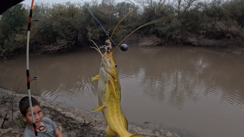 Pescando-y-cocinando-en-el-Rio-Gualeguaychu-Ruta-39-29.png