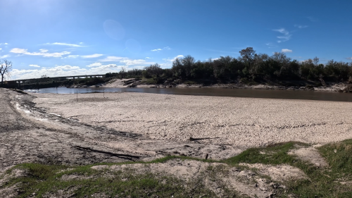 Dias-de-pesca-buscando-el-pique-por-el-Rio-Gualeguay-y-arroyos-Entrerrianos-1.png