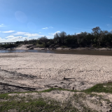 Dias-de-pesca-buscando-el-pique-por-el-Rio-Gualeguay-y-arroyos-Entrerrianos-1