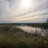 Dias-de-pesca-buscando-el-pique-por-el-Rio-Gualeguay-y-arroyos-Entrerrianos-20