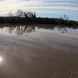 Dias-de-pesca-buscando-el-pique-por-el-Rio-Gualeguay-y-arroyos-Entrerrianos-21
