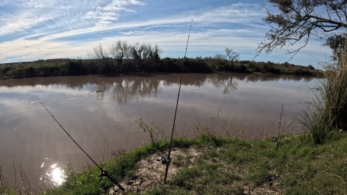 Dias-de-pesca-buscando-el-pique-por-el-Rio-Gualeguay-y-arroyos-Entrerrianos-22.png