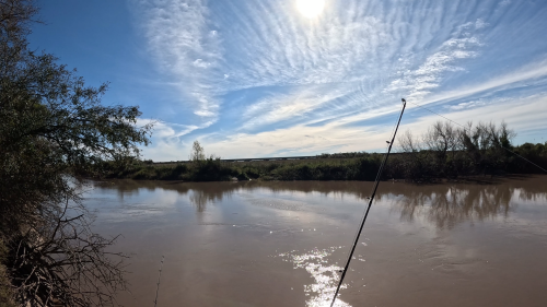 Dias-de-pesca-buscando-el-pique-por-el-Rio-Gualeguay-y-arroyos-Entrerrianos-23.png