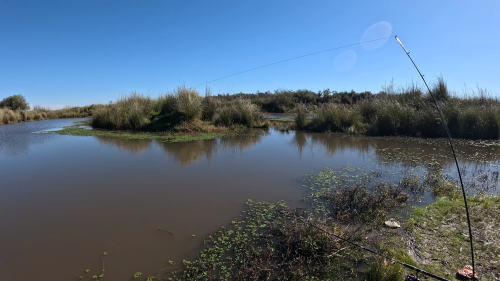 Dias-de-pesca-buscando-el-pique-por-el-Rio-Gualeguay-y-arroyos-Entrerrianos-27.png
