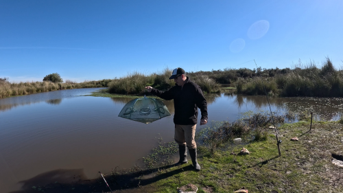 Dias-de-pesca-buscando-el-pique-por-el-Rio-Gualeguay-y-arroyos-Entrerrianos-28.png