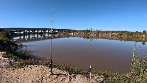 Dias-de-pesca-buscando-el-pique-por-el-Rio-Gualeguay-y-arroyos-Entrerrianos-31.png