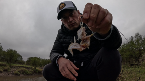 Dias-de-pesca-buscando-el-pique-por-el-Rio-Gualeguay-y-arroyos-Entrerrianos-32.png