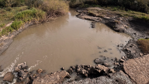 Dias-de-pesca-buscando-el-pique-por-el-Rio-Gualeguay-y-arroyos-Entrerrianos-34.png