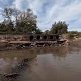 Dias-de-pesca-buscando-el-pique-por-el-Rio-Gualeguay-y-arroyos-Entrerrianos-35
