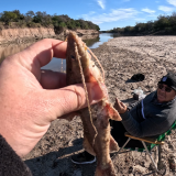 Dias-de-pesca-buscando-el-pique-por-el-Rio-Gualeguay-y-arroyos-Entrerrianos-4