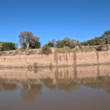 Dias-de-pesca-buscando-el-pique-por-el-Rio-Gualeguay-y-arroyos-Entrerrianos-5