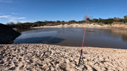 Dias-de-pesca-buscando-el-pique-por-el-Rio-Gualeguay-y-arroyos-Entrerrianos-6.png