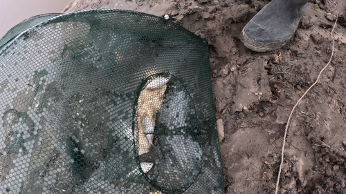 Pesca-y-Carne-Asada-en-el-Rio-Gualeguay-La-Picada-de-Segovia-35.png