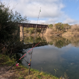 Pescando-y-cocinando-en-la-orilla-del-Arroyo-Urquiza-1